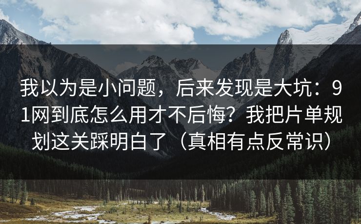 我以为是小问题，后来发现是大坑：91网到底怎么用才不后悔？我把片单规划这关踩明白了（真相有点反常识）  第1张