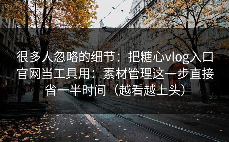 很多人忽略的细节:把糖心vlog入口官网当工具用:素材管理这一步直接省一半时间(越看越上头) 第1张 很多人忽略的细节:把糖心vlog入口官网当工具用:素材管理这一步直接省一半时间(越看越上头) 第1张